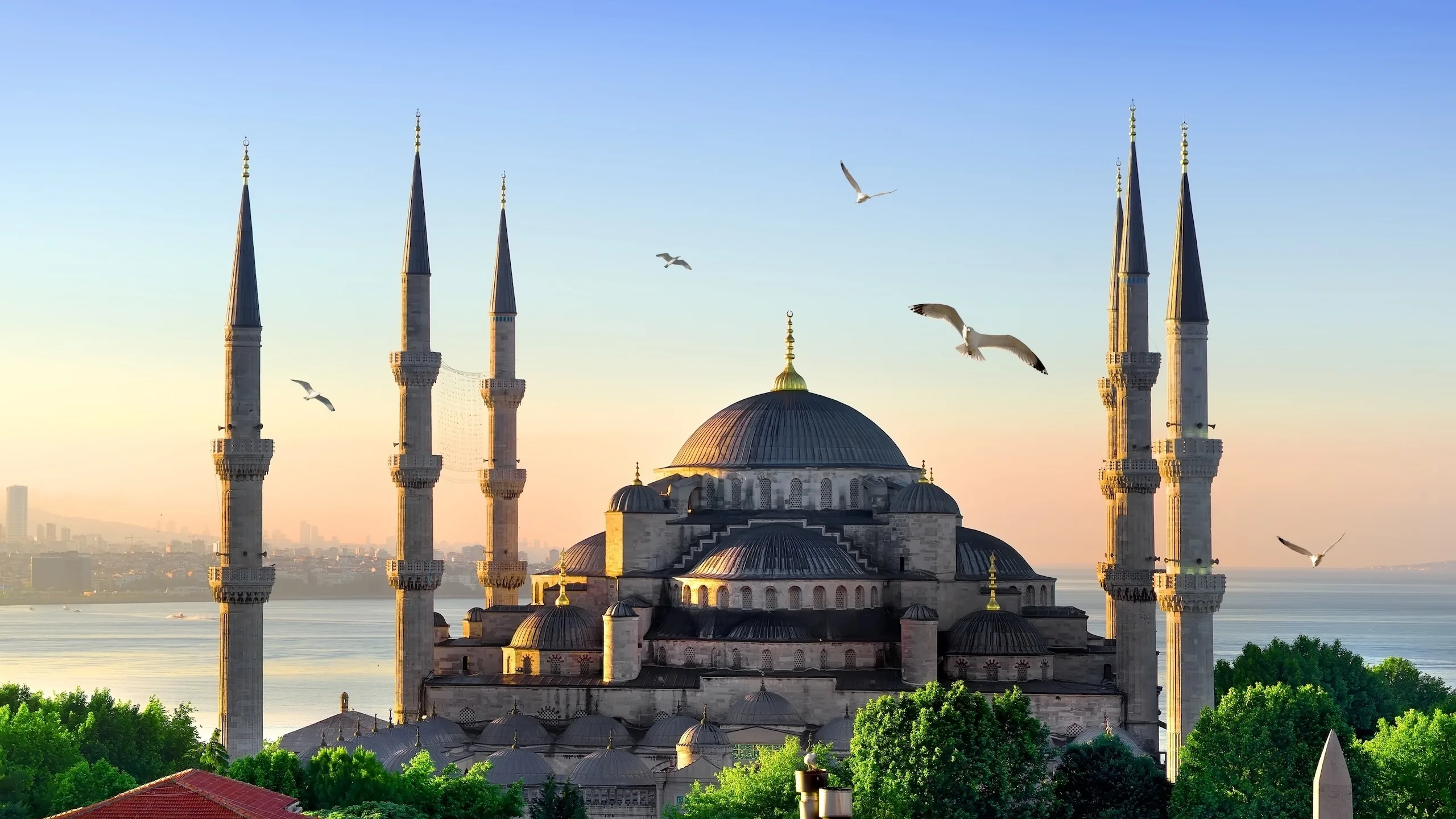 Things to Do in Istanbul — A Practical 3-Day Guide — blog guide by Serendipity Turkey Tours
